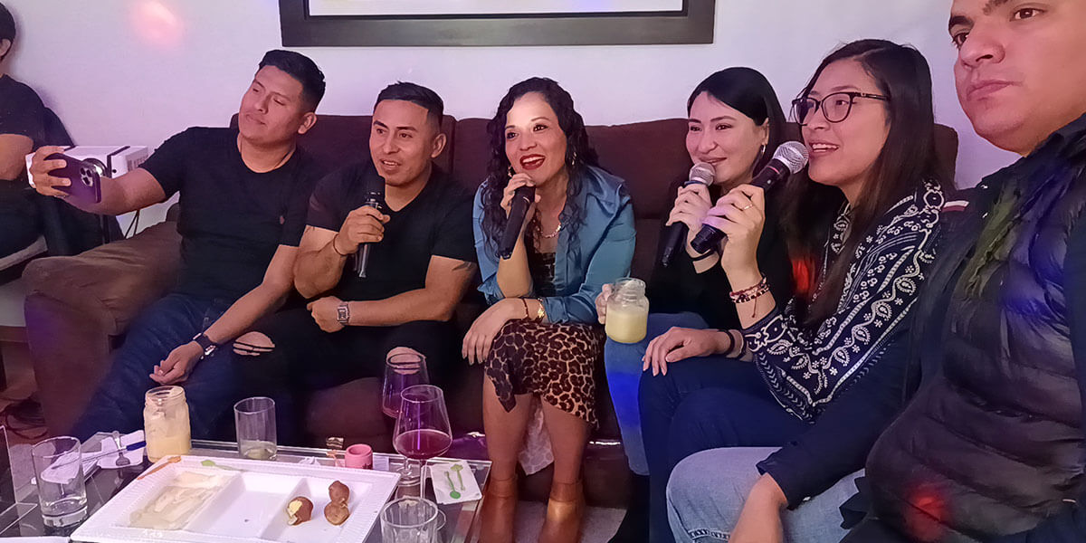 party house karaoke, alquiler de karaoke a domicilio en lima